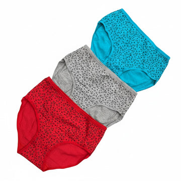 MULTI COLOR BRIEF PANTY PACK OF 6-B223
