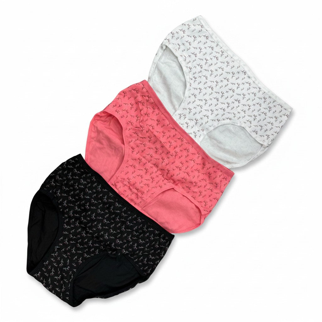 MULTI COLOR BRIEF PANTY PACK OF 6-B228