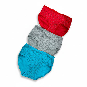 MULTI COLOR BRIEF PANTY PACK OF 6-B228
