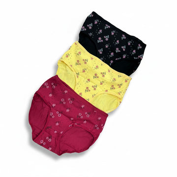 MULTI COLOR BRIEF PANTY PACK OF 6-B231