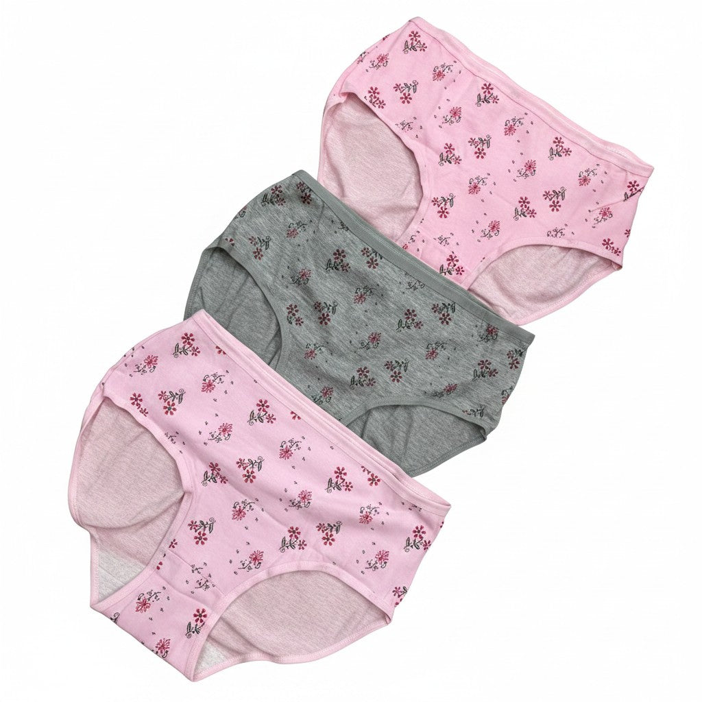 MULTI COLOR BRIEF PANTY PACK OF 6-B231